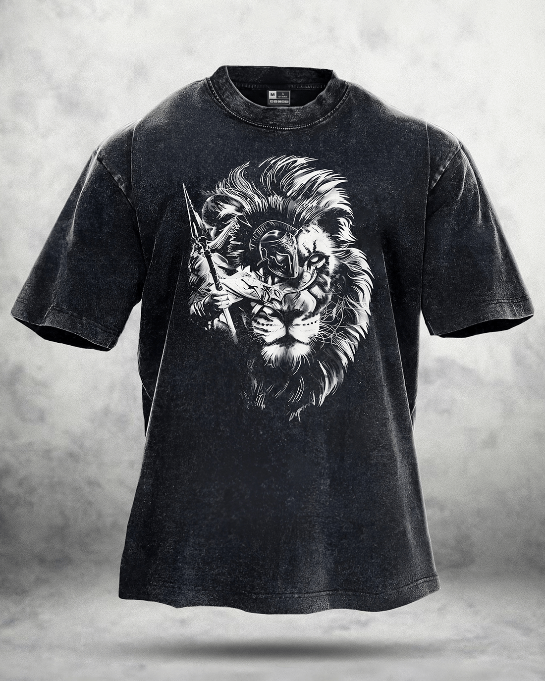 Spartan Lion Washed T-Shirt